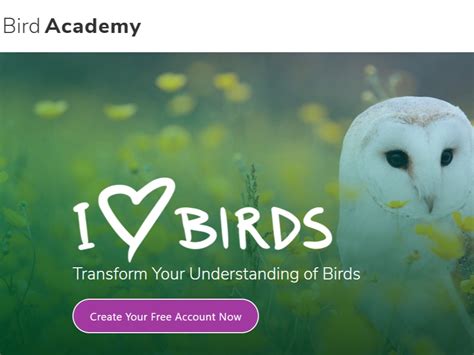 Bird Academy’s A.